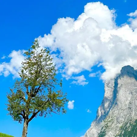 Apartment Beautiful 2 In A Location Grindelwald