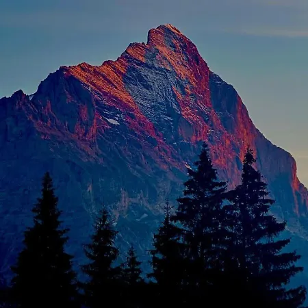 Beautiful 2 In A Location *