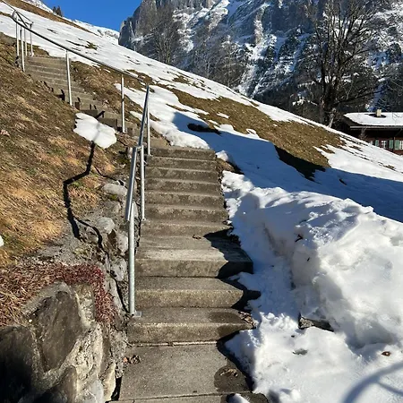 Beautiful 2 In A Location Γκρίντελβαλντ