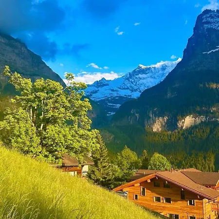 Beautiful 2 In A Location *